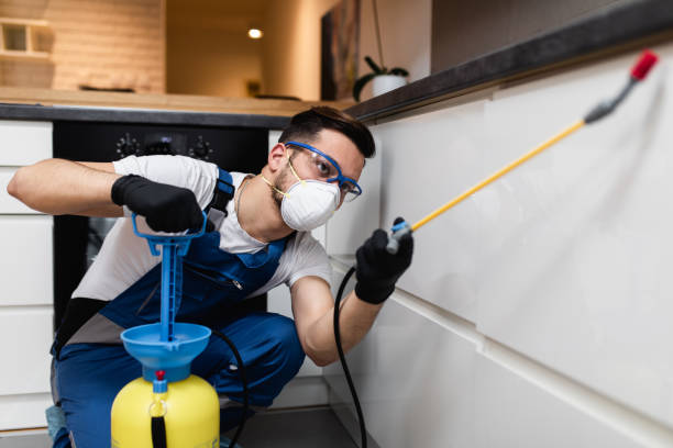 Best Pest Control for Businesses  in Loudonville, OH