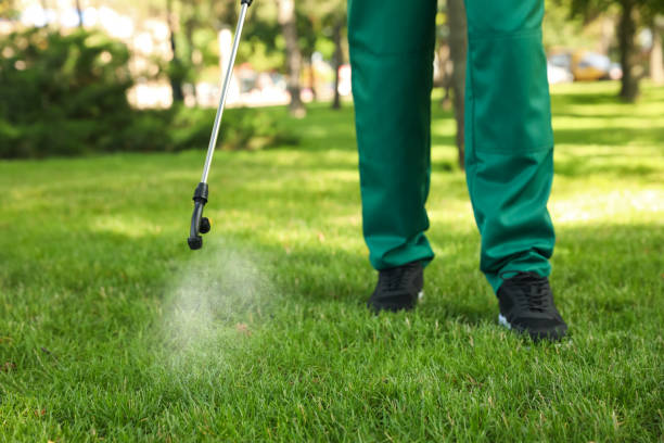 Best Best Pest Control Near Me  in Loudonville, OH