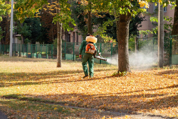 Best Ant Control Services  in Loudonville, OH