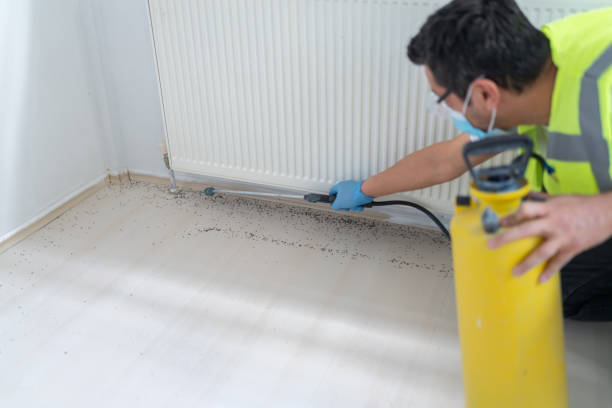 Best Emergency Pest Control  in Loudonville, OH