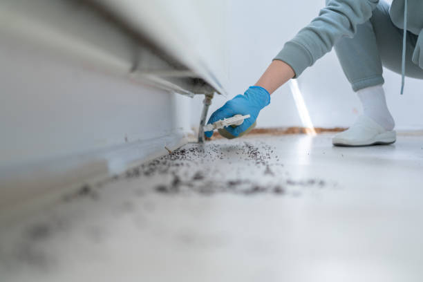 Best Pest Prevention Services  in Loudonville, OH